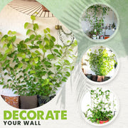 Plant Wall Fixture