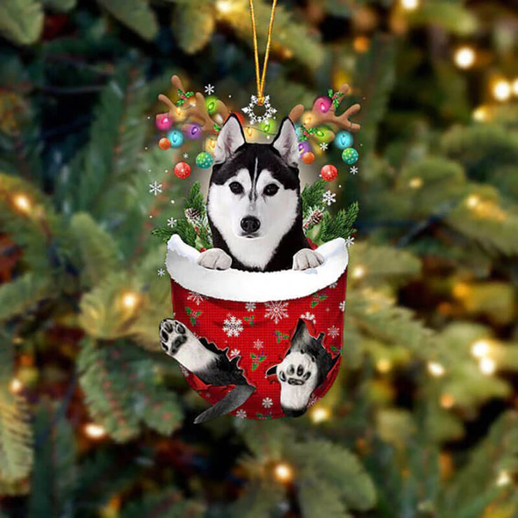 Husky In Snow Pocket Christmas Ornament SP058