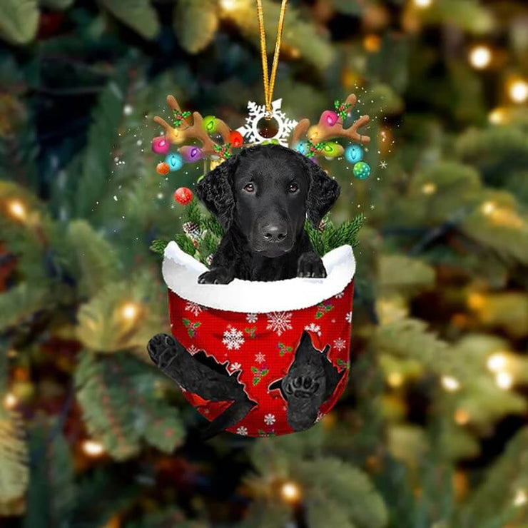 Curly Coated Retriever In Snow Pocket Christmas Ornament SP146