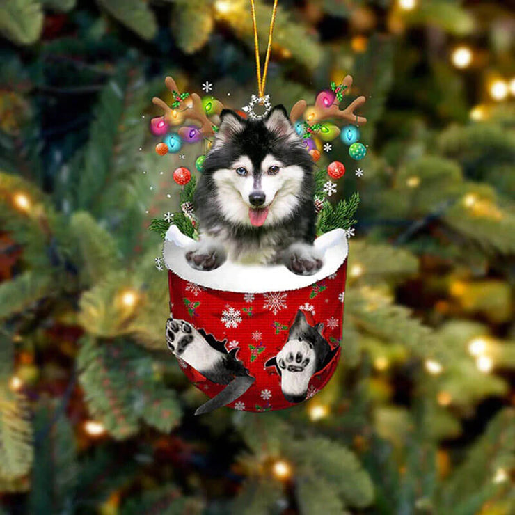 Alaskan Klee Kai In Snow Pocket Christmas Ornament SP152