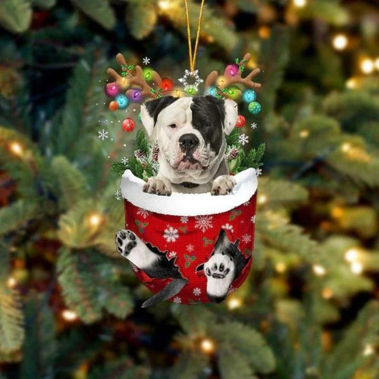 American Bulldog In Snow Pocket Christmas Ornament SP216