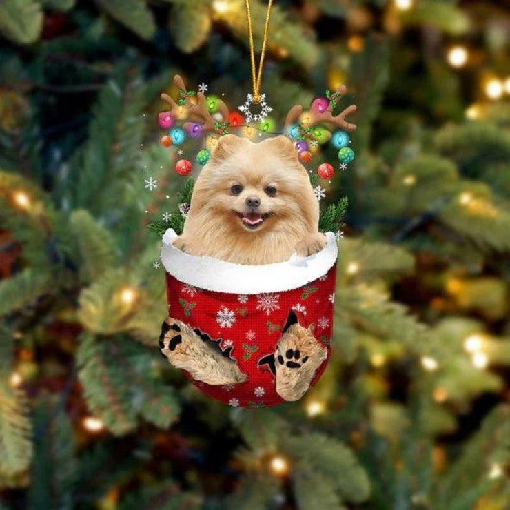 Pomeranian In Snow Pocket Christmas Ornament SP235
