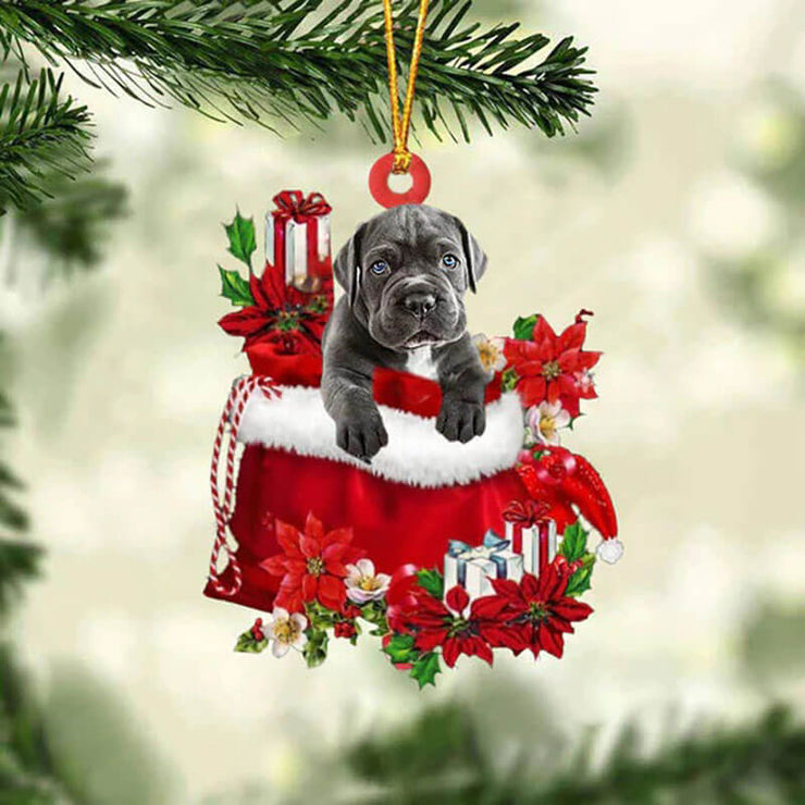 Cane Corso In Gift Bag Christmas Ornament GB031