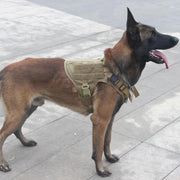 Tactical Supply  K9 Field Armor