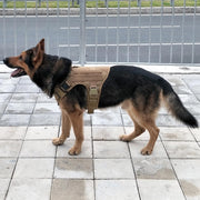 Tactical Supply  K9 Field Armor