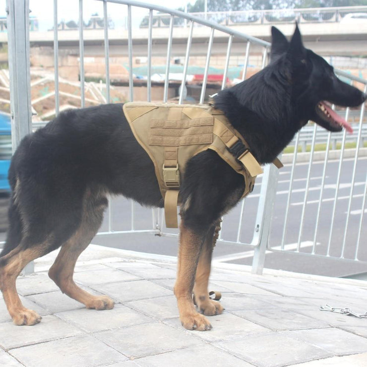 Tactical Supply  K9 Field Armor