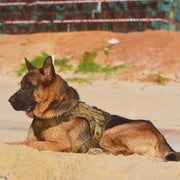Tactical Supply  K9 Field Armor